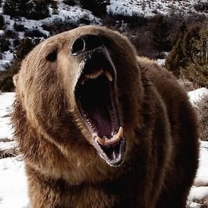 Meet your Posher, Jim